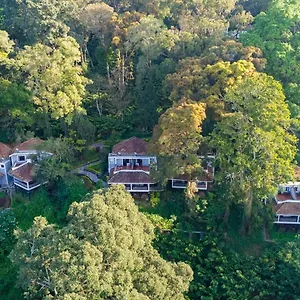 Resor The Tall Trees Munnar